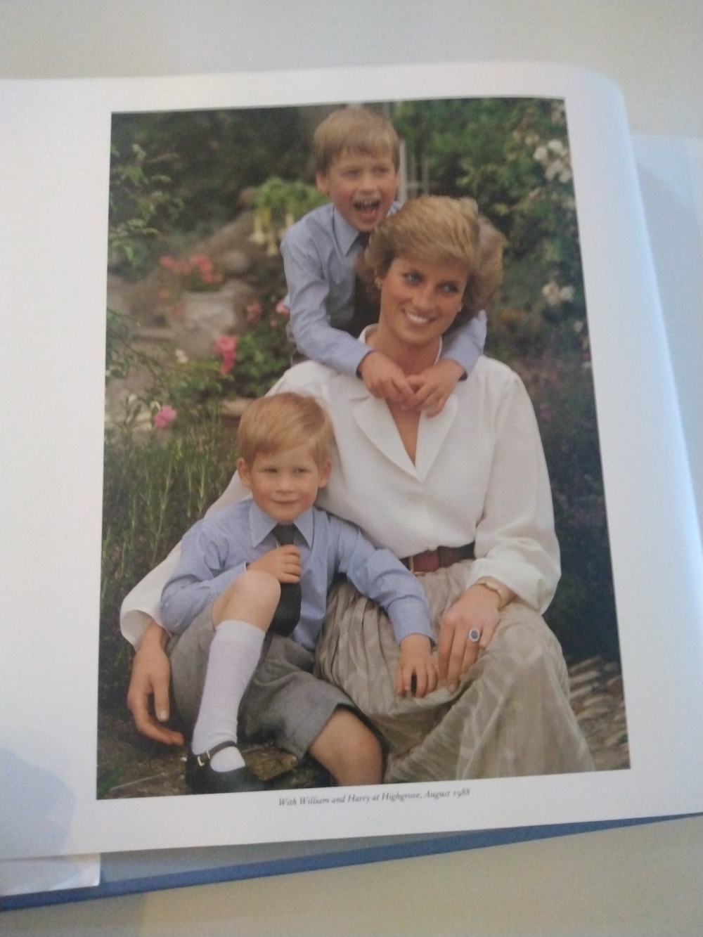 Diana Portrait of a Princess Hardcover Art Book - Purple & Blue Cover - Picture 2 of 15